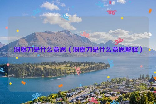 洞察力是什么意思（洞察力是什么意思解释）