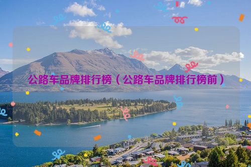 公路车品牌排行榜（公路车品牌排行榜前）