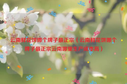 云南鲜花饼哪个牌子最正宗（云南鲜花饼哪个牌子最正宗云南哪里生产成本高）