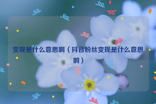 变现是什么意思啊（抖音粉丝变现是什么意思啊）