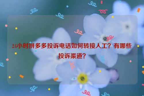 24小时拼多多投诉电话如何转接人工？有哪些投诉渠道？