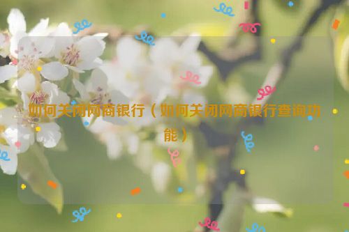 如何关闭网商银行（如何关闭网商银行查询功能）