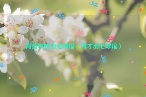 育英学校羽毛球馆（育才羽毛球馆）