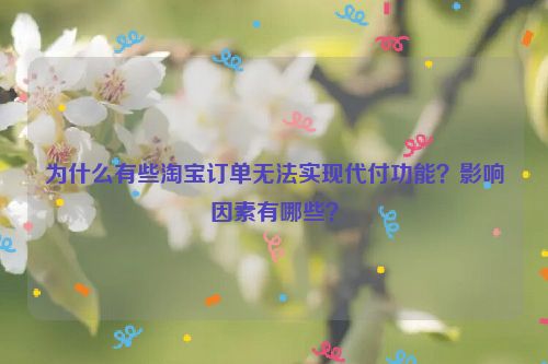 为什么有些淘宝订单无法实现代付功能？影响因素有哪些？