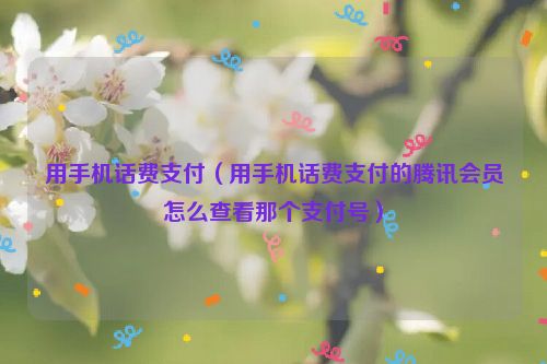 用手机话费支付（用手机话费支付的腾讯会员怎么查看那个支付号）