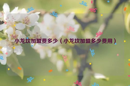 小龙坎加盟费多少（小龙坎加盟多少费用）