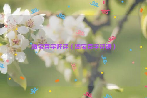 淘宝百字好评（淘宝百字评语）