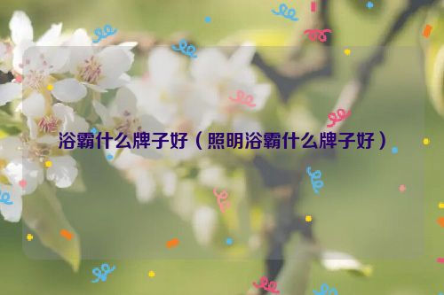 浴霸什么牌子好（照明浴霸什么牌子好）