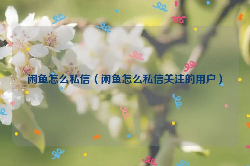 闲鱼怎么私信（闲鱼怎么私信关注的用户）