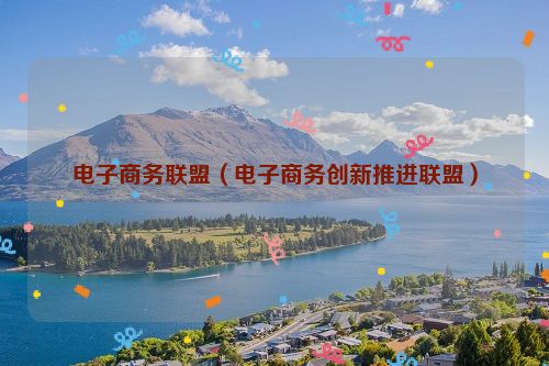 电子商务联盟（电子商务创新推进联盟）