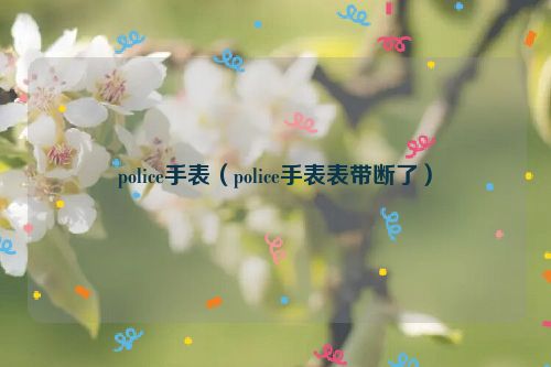 police手表（police手表表带断了）