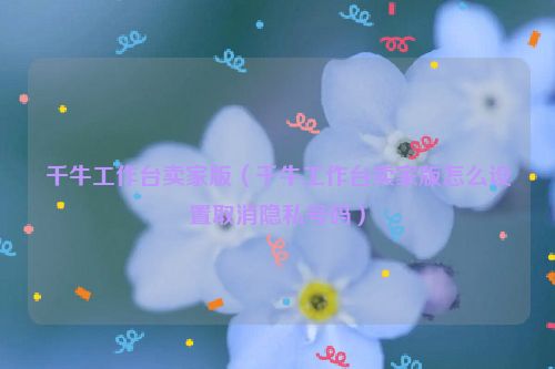 千牛工作台卖家版（千牛工作台卖家版怎么设置取消隐私号码）