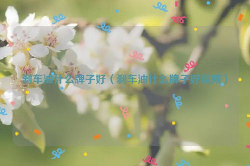 刹车油什么牌子好（刹车油什么牌子好视频）