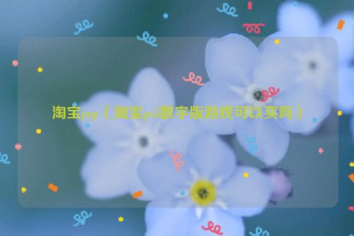 淘宝psp（淘宝ps5数字版游戏可以买吗）