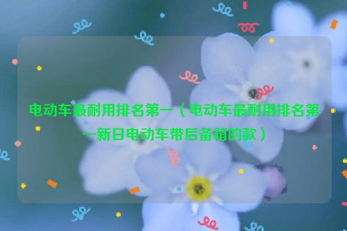 电动车最耐用排名第一（电动车最耐用排名第一新日电动车带后备箱的款）