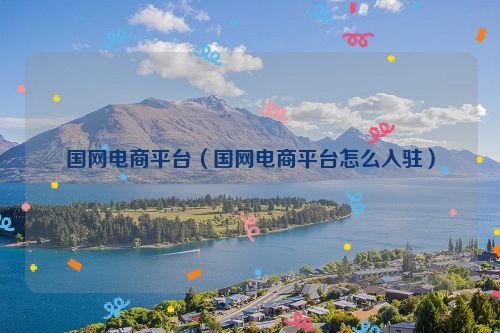 国网电商平台（国网电商平台怎么入驻）