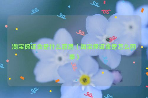 淘宝保证金是什么意思（淘宝保证金是怎么回事）