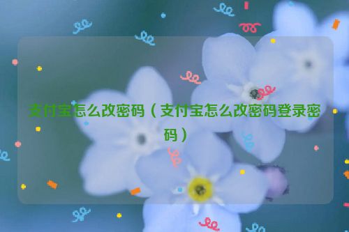 支付宝怎么改密码（支付宝怎么改密码登录密码）