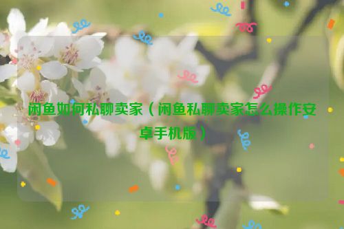 闲鱼如何私聊卖家（闲鱼私聊卖家怎么操作安卓手机版）