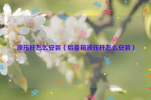 液压杆怎么安装（后备箱液压杆怎么安装）