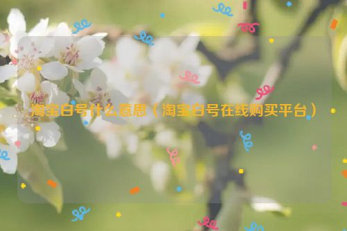 淘宝白号什么意思（淘宝白号在线购买平台）