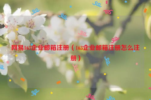 网易163企业邮箱注册（163企业邮箱注册怎么注册）