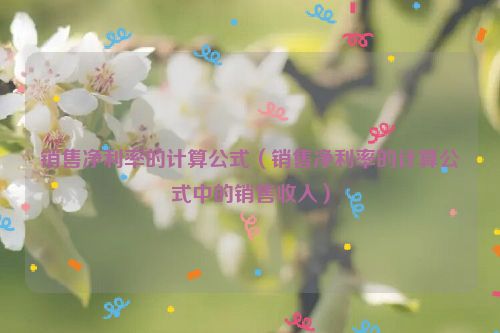 销售净利率的计算公式（销售净利率的计算公式中的销售收入）