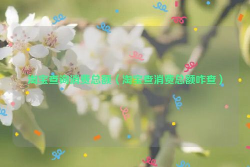 淘宝查询消费总额（淘宝查消费总额咋查）