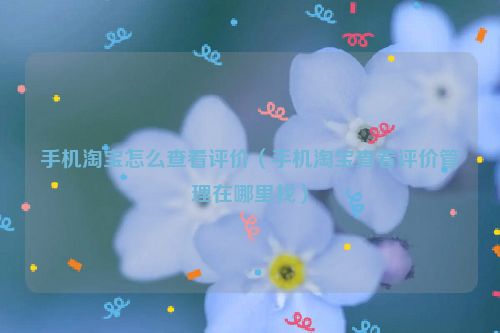 手机淘宝怎么查看评价（手机淘宝查看评价管理在哪里找）