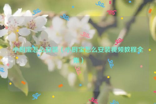 小厨宝怎么安装（小厨宝怎么安装视频教程全集）