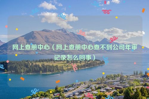 网上查册中心（网上查册中心查不到公司年审记录怎么回事）