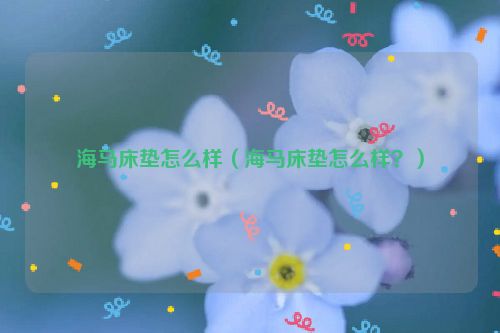 海马床垫怎么样（海马床垫怎么样？）
