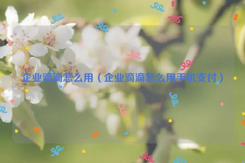 企业滴滴怎么用（企业滴滴怎么用手机支付）