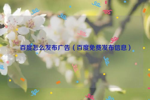 百度怎么发布广告（百度免费发布信息）
