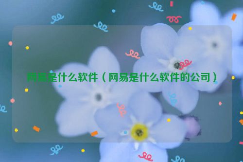 网易是什么软件（网易是什么软件的公司）