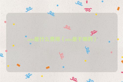 ams是什么费用（ams是干嘛的）