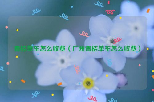 青桔单车怎么收费（广州青桔单车怎么收费）