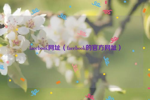 facebook网址（facebook的官方网址）