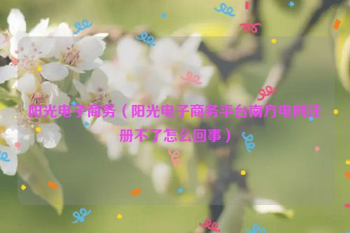 阳光电子商务（阳光电子商务平台南方电网注册不了怎么回事）