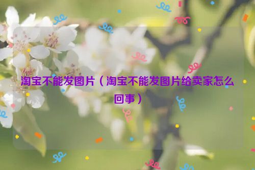 淘宝不能发图片（淘宝不能发图片给卖家怎么回事）