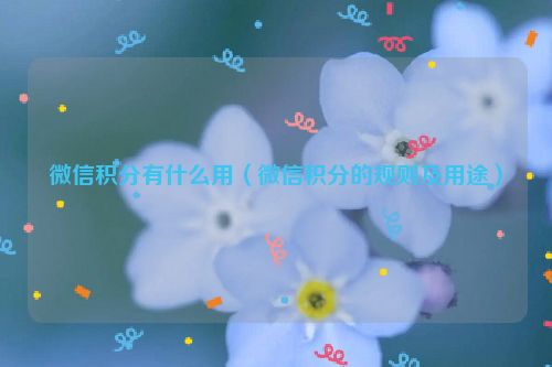 微信积分有什么用（微信积分的规则及用途）