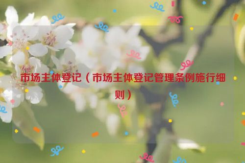 市场主体登记（市场主体登记管理条例施行细则）