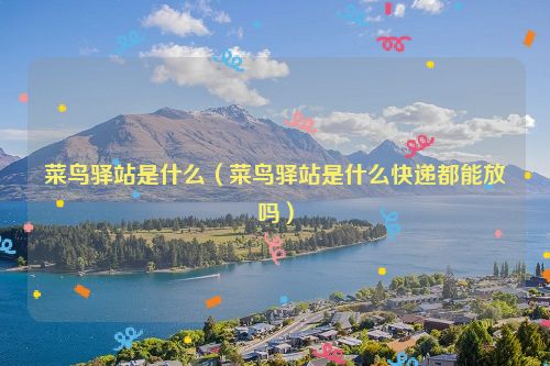 菜鸟驿站是什么（菜鸟驿站是什么快递都能放吗）