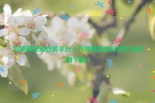 万师傅家具安装平台（万师傅家具安装平台官网下载）