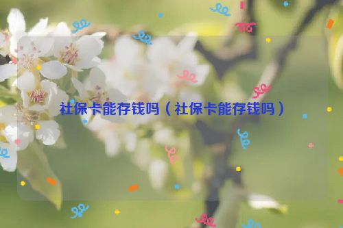 社保卡能存钱吗（社保卡能存钱吗）