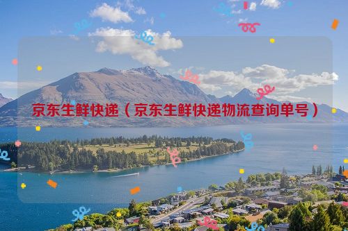京东生鲜快递（京东生鲜快递物流查询单号）