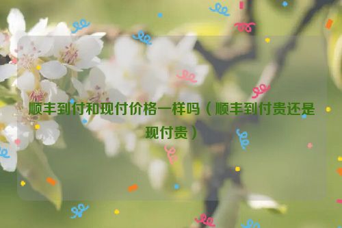 顺丰到付和现付价格一样吗（顺丰到付贵还是现付贵）