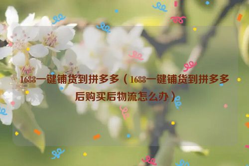 1688一键铺货到拼多多（1688一键铺货到拼多多后购买后物流怎么办）