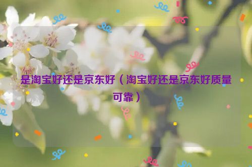 是淘宝好还是京东好（淘宝好还是京东好质量可靠）