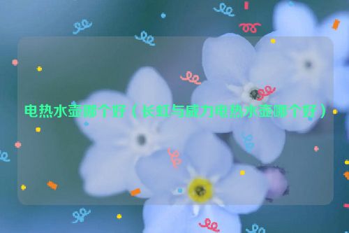 电热水壶哪个好（长虹与威力电热水壶哪个好）